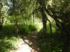 20210613103902-DSCN9162.JPG