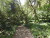 20210613103904-DSCN9163.JPG