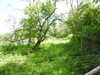 20210613104204-DSCN9166.JPG