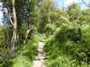 20210613104429-DSCN9170.JPG