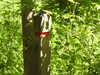 20210613104725-DSCN9171.JPG