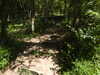 20210613104846-DSCN9172.JPG