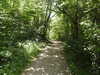 20210613105624-DSCN9174.JPG
