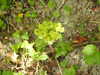 20210613110021-DSCN9177.JPG