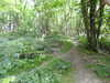 20210613110357-DSCN9180.JPG