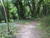 20210613110758-DSCN9182.JPG