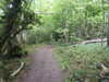 20210613110832-DSCN9183.JPG