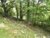 20210613111231-DSCN9187.JPG