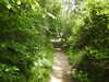 20210613111444-DSCN9192.JPG