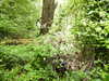 20210613111452-DSCN9193.JPG
