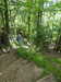 20210613111804-DSCN9200.JPG