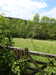 20210613112118-DSCN9203.JPG