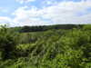 20210613112216-DSCN9204.JPG