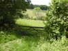 20210613112344-DSCN9207.JPG