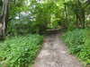 20210613112819-DSCN9210.JPG