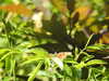 20210613142008-DSCN9215.JPG