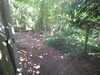 20210613143907-DSCN9217.JPG