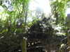 20210613143929-DSCN9219.JPG
