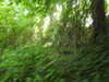 20210613143933-DSCN9220.JPG