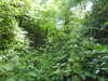 20210613143937-DSCN9221.JPG