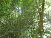 20210613143942-DSCN9222.JPG