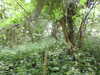 20210613143955-DSCN9223.JPG