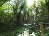 20210613144004-DSCN9224.JPG