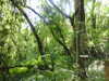 20210613144013-DSCN9225.JPG