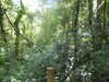 20210613144020-DSCN9226.JPG