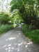 20210613144045-DSCN9228.JPG