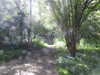 20210613144644-DSCN9231.JPG