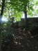 20210613144822-DSCN9232.JPG