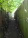 20210613144939-DSCN9233.JPG