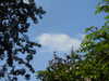 20210613150720-DSCN9234.JPG