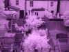 2021-06-28:IR Garden
