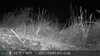 2021-07-01:Wildlife Camera Default Date
