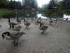 20210712154004-DSCN9239.JPG