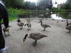 20210712154037-DSCN9242.JPG