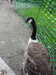 20210712154115-DSCN9244.JPG