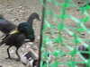 20210712154418-DSCN9247.JPG