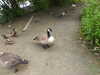 20210712155503-DSCN9257.JPG