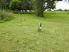 20210712155523-DSCN9258.JPG
