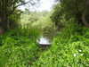 20210712155943-DSCN9259.JPG