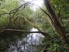 20210712161243-DSCN9286.JPG
