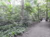 20210712163152-DSCN9290.JPG