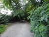 2021-07-18:Chislehurst Walk
