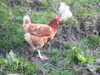 20210812184436-DSCN9303.JPG
