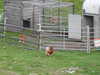 20210812184447-DSCN9304.JPG