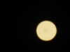 20210812215726-DSCN9323.JPG