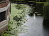 20210813110729-DSCN9368.JPG